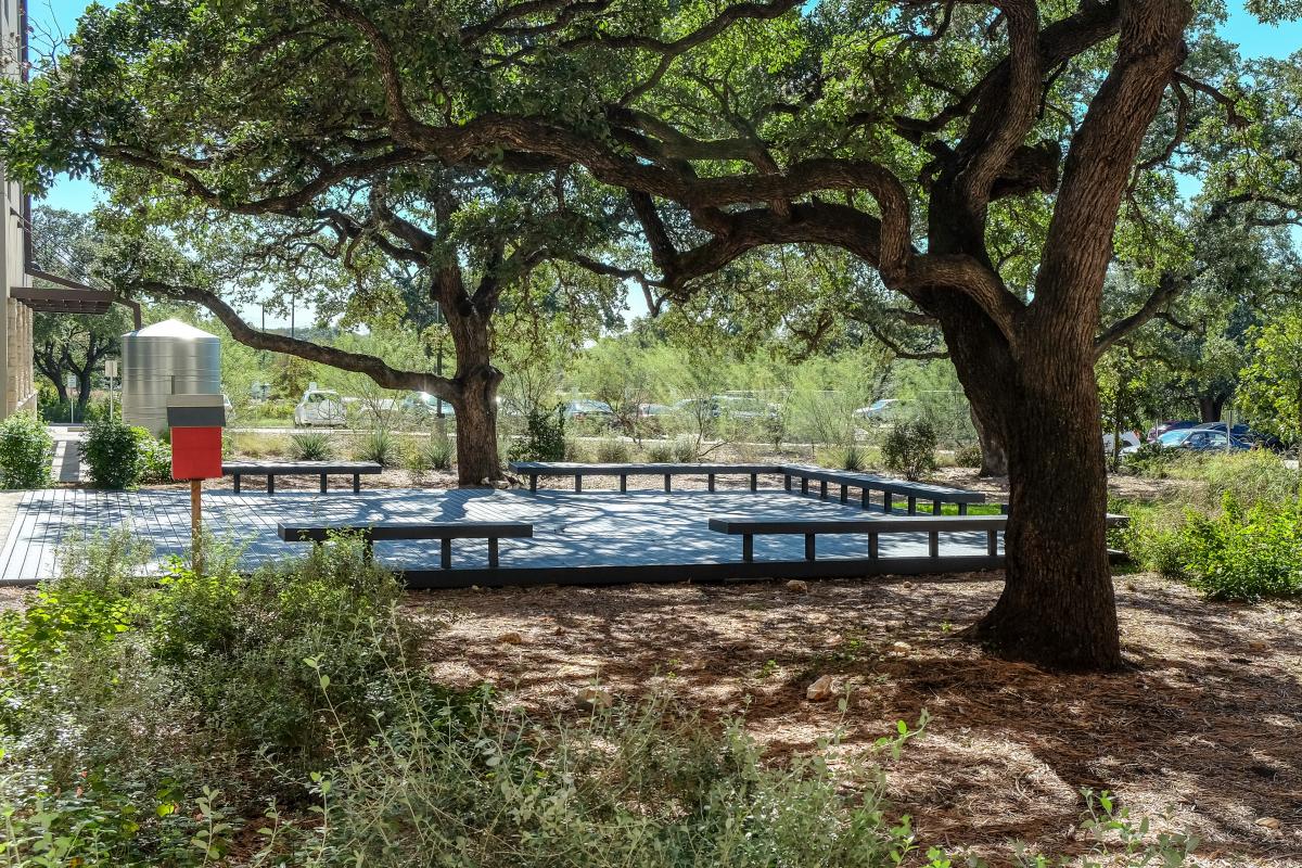 View of an outdoor classroom surrounded by native plants and a large oak tree. A silver rainwater cistern is in the background.
